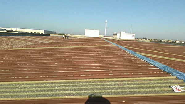 彩鋼瓦隔熱涂料噴涂 彩鋼瓦隔熱涂料噴涂